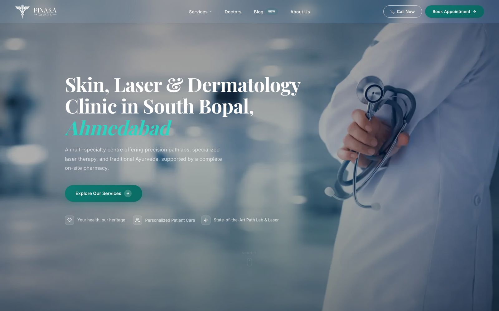 Pinaka Care Clinic Website Screenshot
